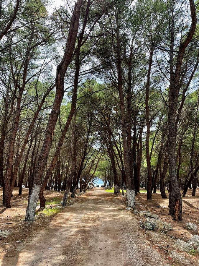 Leilighet Roel 1 Nr 88 Vlorë